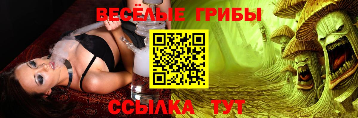 купить наркотик  Вход с VPN  Пугачёв  Галлюциногенные грибы Psilocybine cubensis 