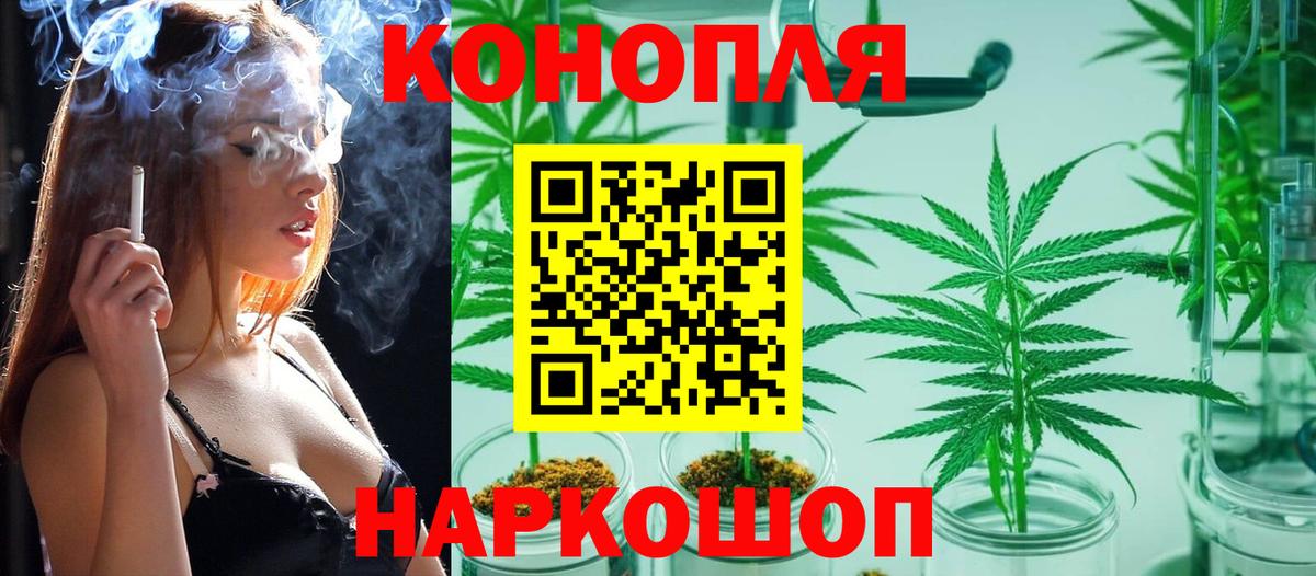 Пугачёв  Марихуана Amnesia  Конопля план  Канабис Amnesia  Вход с VPN 